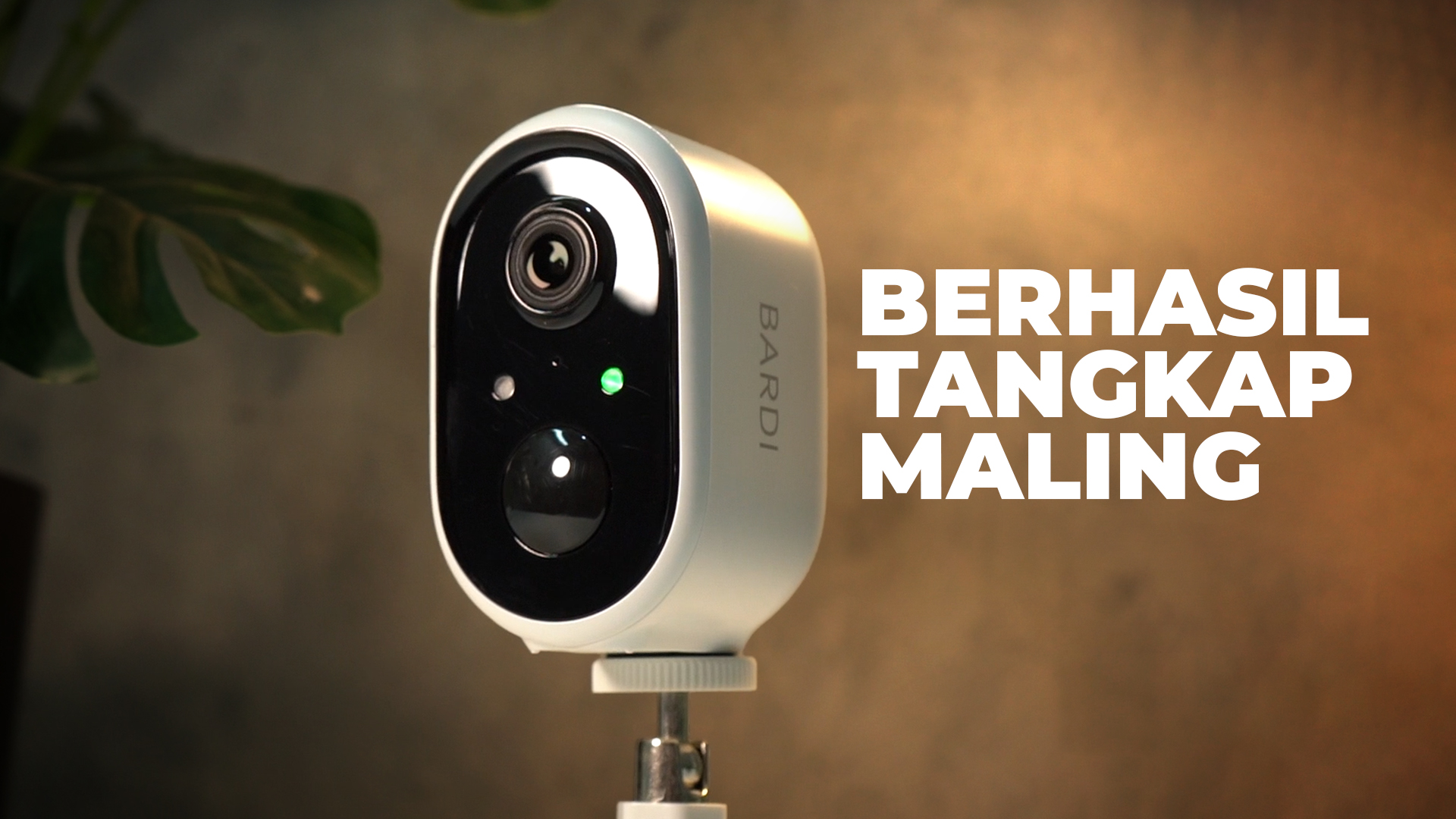 Akhirnya Ketahuan! CCTV Tanpa Kabel Ini Bongkar Aksi Sabotase di Kebun